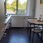 Apartman Maslinik *