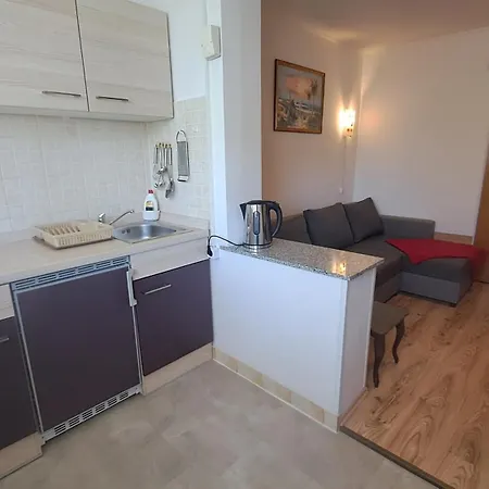 Apartman Maslinik *