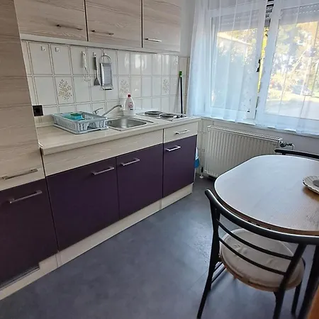Apartman Maslinik *